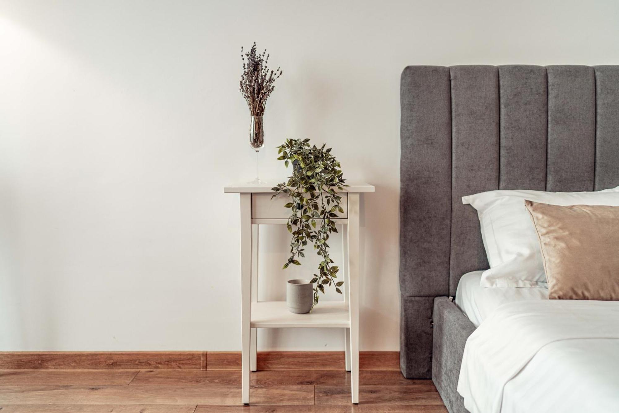 Palas Mall - Cozy Studios And Flats 이아시 외부 사진